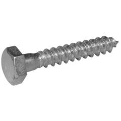 PA P/MAD SEXT 5/16X100MM ZI
