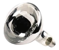 LAMPADA SECAGEM 250W 220V