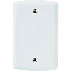 PLACA CEGA 4X2 LUX2 BR